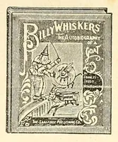 An illustration from Woodland elf (1906)