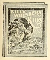 An illustration from Woodland elf (1906)