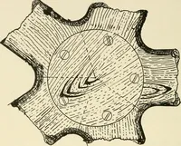 An illustration from Wood pattern-making; the fundamental principles and elementary practice of the art (1906)