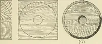 An illustration from Wood pattern-making; the fundamental principles and elementary practice of the art (1906)