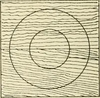 An illustration from Wood pattern-making; the fundamental principles and elementary practice of the art (1906)