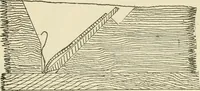 An illustration from Wood pattern-making; the fundamental principles and elementary practice of the art (1906)