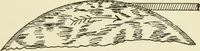 An illustration from Wood pattern-making; the fundamental principles and elementary practice of the art (1906)