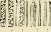 An illustration from Wood pattern-making; the fundamental principles and elementary practice of the art (1906)
