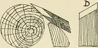 An illustration from Wood pattern-making; the fundamental principles and elementary practice of the art (1906)
