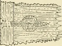 An illustration from Wood pattern-making; the fundamental principles and elementary practice of the art (1906)