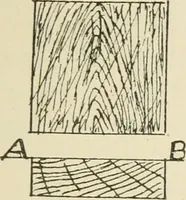 An illustration from Wood pattern-making; the fundamental principles and elementary practice of the art (1906)
