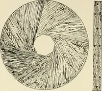 An illustration from Wood pattern-making; the fundamental principles and elementary practice of the art (1906)