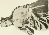 An illustration from Wood sculpture (1911)