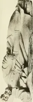 An illustration from Wood sculpture (1911)