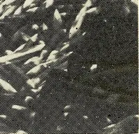 An illustration from Wood-using industries of Pennsylvania (1914)