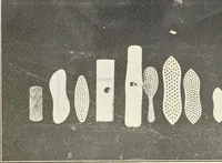 An illustration from Wood-using industries of Pennsylvania (1914)