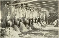 Picture 30 of 34 from Wood-using industries of Pennsylvania (1914), leaf 166