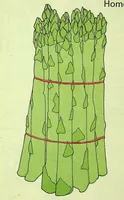 Picture 1 of 8 from Woodward & Lothrop - Housewares 1974 (1974), leaf 0