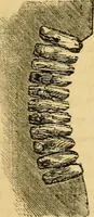 An illustration from Woodward's architecture and rural art : landscape gardening, and rural art (1867)