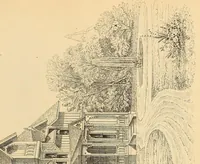 An illustration from Woodward's national architect; containing ... original designs, plans and details, to working scale, for the practical construction of dwelling houses for the country, suburb and village.With full and complete sets of specifications and an estimate of the cost of each design (1869)