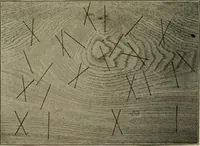 Picture 128 of 263 from Woodwork for the grades for use in manual training classes (1912), leaf 132