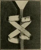 Picture 224 of 263 from Woodwork for the grades for use in manual training classes (1912), leaf 208