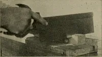 Picture 47 of 263 from Woodwork for the grades for use in manual training classes (1912), leaf 66