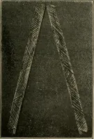 Picture 63 of 263 from Woodwork for the grades for use in manual training classes (1912), leaf 84