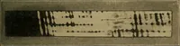 An illustration from Woodwork for the grades, for use in manual training classes; fully illustrated with three hundred half-tone engravings from actual shop practice, and many working drawings of educational shop problems (1913)