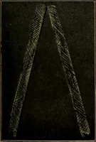 An illustration from Woodwork for the grades, for use in manual training classes; fully illustrated with three hundred half-tone engravings from actual shop practice, and many working drawings of educational shop problems (1913)