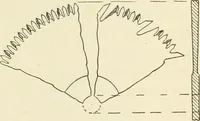 An illustration from Woodwork for secondary schools; a text-book for high schools and colleges, prevocational and elementary industrial schools (1916)