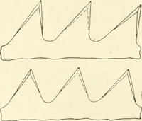 Picture 104 of 368 from Woodwork for secondary schools; a text-book for high schools and colleges, prevocational and elementary industrial schools (1916), leaf 115