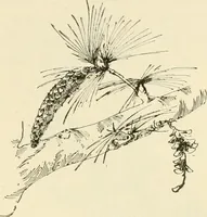 Picture 5 of 368 from Woodwork for secondary schools; a text-book for high schools and colleges, prevocational and elementary industrial schools (1916), leaf 18