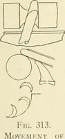 Picture 194 of 368 from Woodwork for secondary schools; a text-book for high schools and colleges, prevocational and elementary industrial schools (1916), leaf 206