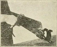 Picture 60 of 368 from Woodwork for secondary schools; a text-book for high schools and colleges, prevocational and elementary industrial schools (1916), leaf 71