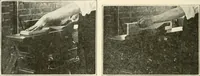 Picture 79 of 368 from Woodwork for secondary schools; a text-book for high schools and colleges, prevocational and elementary industrial schools (1916), leaf 91