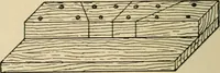 Picture 80 of 443 from Woodworking for beginners; a manual for amateurs (1900), leaf 107