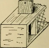 Picture 116 of 443 from Woodworking for beginners; a manual for amateurs (1900), leaf 147