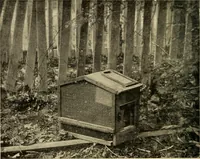 Picture 121 of 443 from Woodworking for beginners; a manual for amateurs (1900), leaf 151