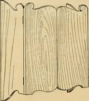 Picture 171 of 443 from Woodworking for beginners; a manual for amateurs (1900), leaf 207