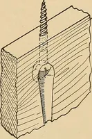 Picture 186 of 443 from Woodworking for beginners; a manual for amateurs (1900), leaf 220