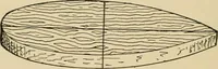 Picture 220 of 443 from Woodworking for beginners; a manual for amateurs (1900), leaf 249