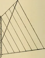 An illustration from Woodworking for beginners; a manual for amateurs (1900)