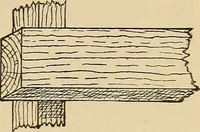 Picture 315 of 443 from Woodworking for beginners; a manual for amateurs (1900), leaf 368