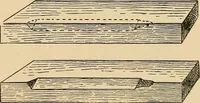 Picture 319 of 443 from Woodworking for beginners; a manual for amateurs (1900), leaf 372