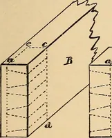 Picture 337 of 443 from Woodworking for beginners; a manual for amateurs (1900), leaf 388