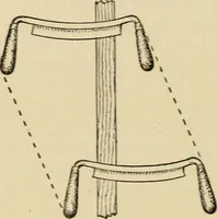 An illustration from Woodworking for beginners; a manual for amateurs (1900)
