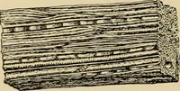 Picture 6 of 443 from Woodworking for beginners; a manual for amateurs (1900), leaf 41