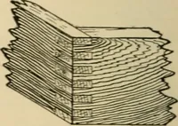 Picture 357 of 443 from Woodworking for beginners; a manual for amateurs (1900), leaf 415