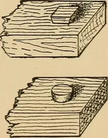 Picture 361 of 443 from Woodworking for beginners; a manual for amateurs (1900), leaf 418