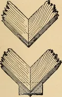 Picture 370 of 443 from Woodworking for beginners; a manual for amateurs (1900), leaf 434