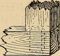 Picture 380 of 443 from Woodworking for beginners; a manual for amateurs (1900), leaf 442