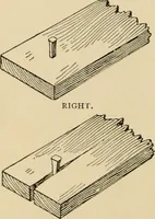Picture 386 of 443 from Woodworking for beginners; a manual for amateurs (1900), leaf 445