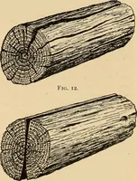 Picture 11 of 443 from Woodworking for beginners; a manual for amateurs (1900), leaf 46